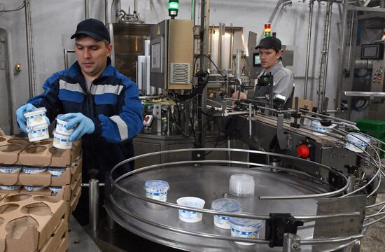 Производство кисломолочных продуктов в Красноярском крае