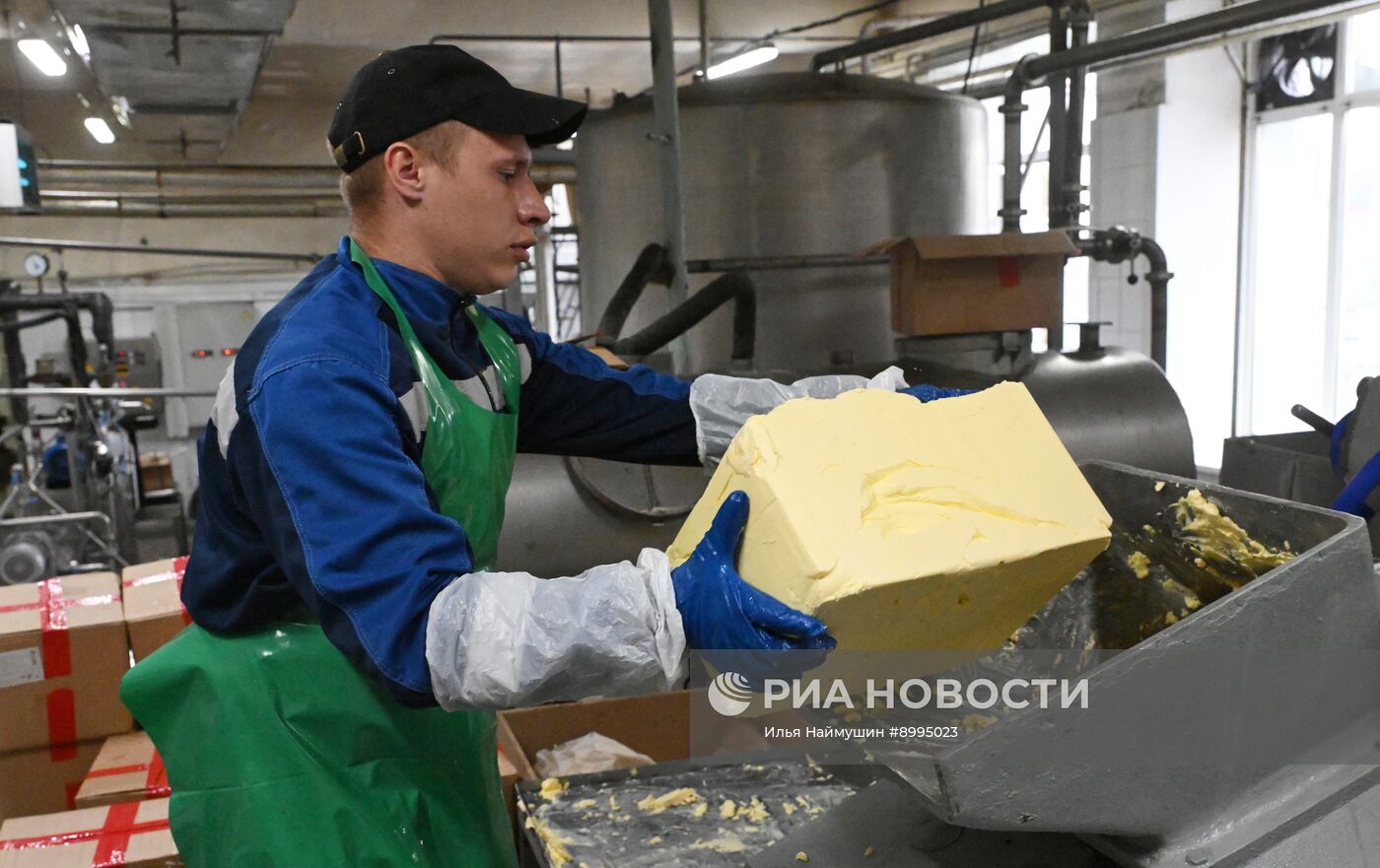 Производство кисломолочных продуктов в Красноярском крае
