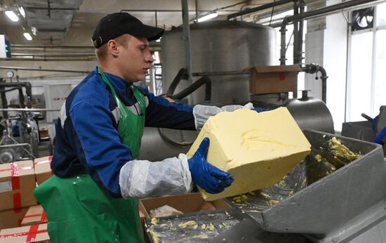 Производство кисломолочных продуктов в Красноярском крае