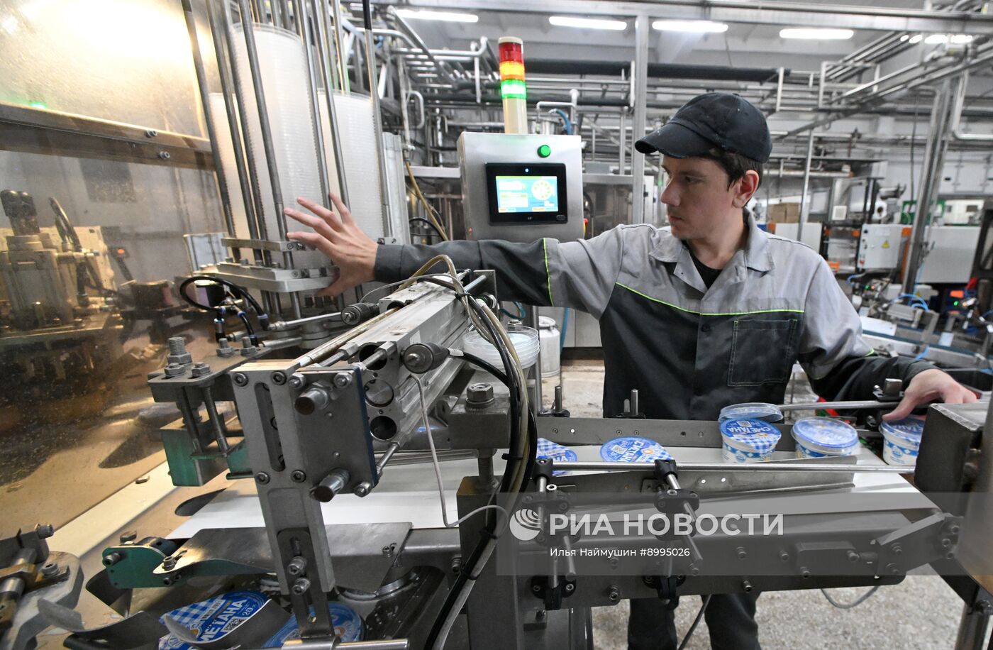 Производство кисломолочных продуктов в Красноярском крае