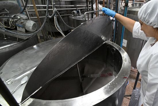 Производство кисломолочных продуктов в Красноярском крае