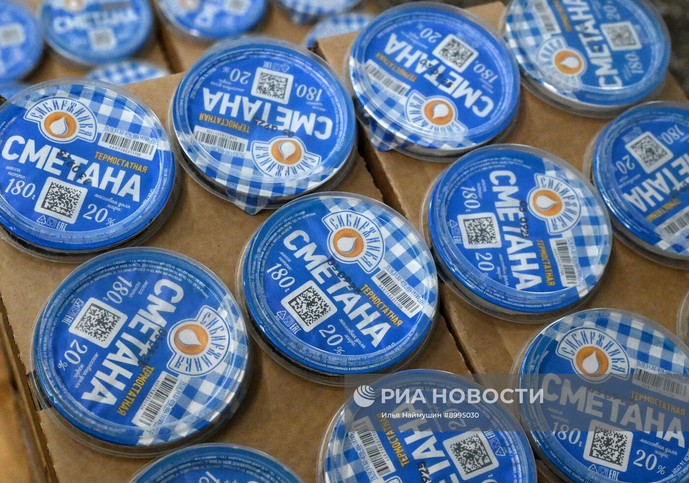 Производство кисломолочных продуктов в Красноярском крае