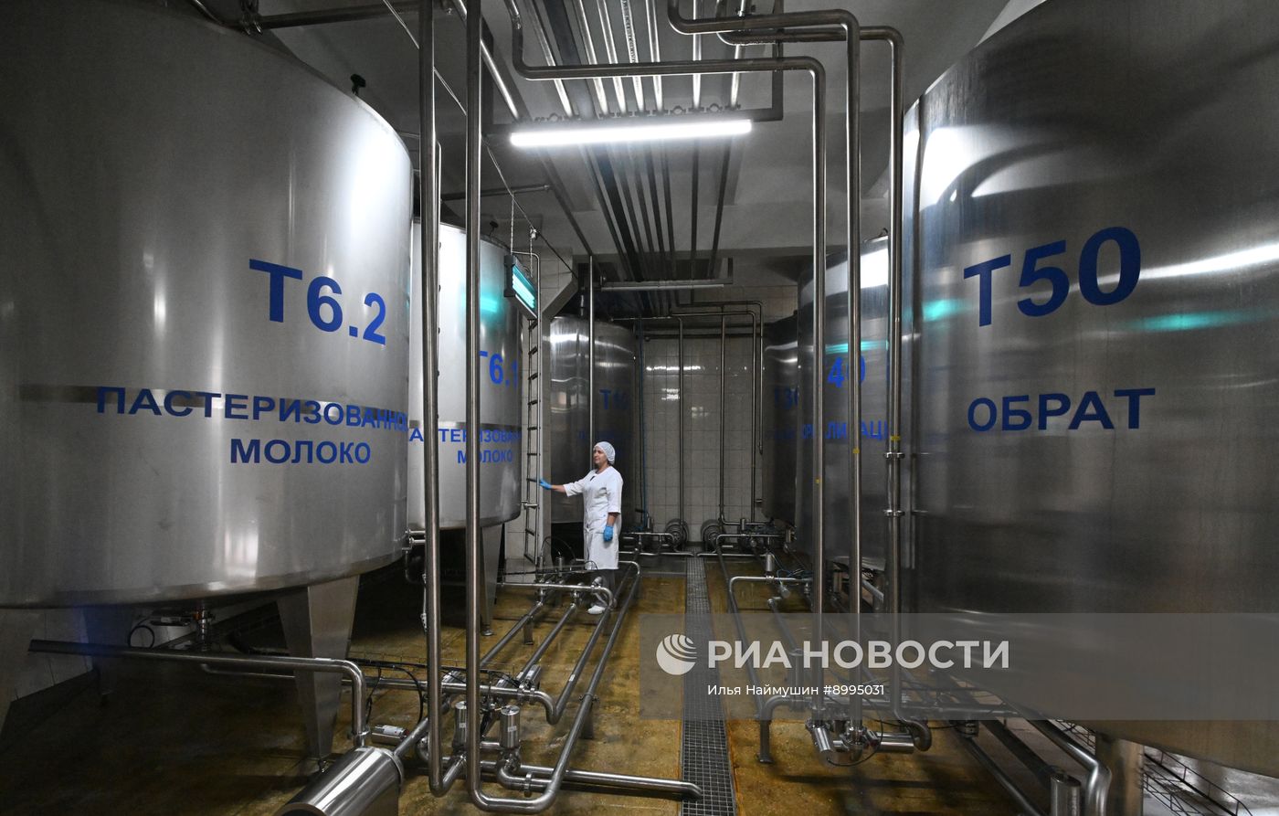 Производство кисломолочных продуктов в Красноярском крае