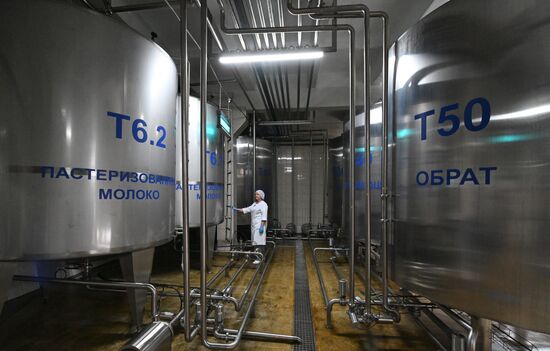 Производство кисломолочных продуктов в Красноярском крае