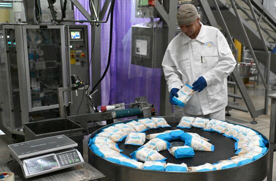 Производство кисломолочных продуктов в Красноярском крае