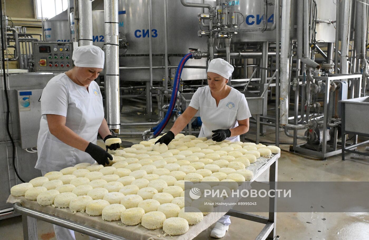 Производство кисломолочных продуктов в Красноярском крае