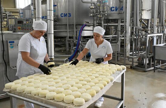 Производство кисломолочных продуктов в Красноярском крае