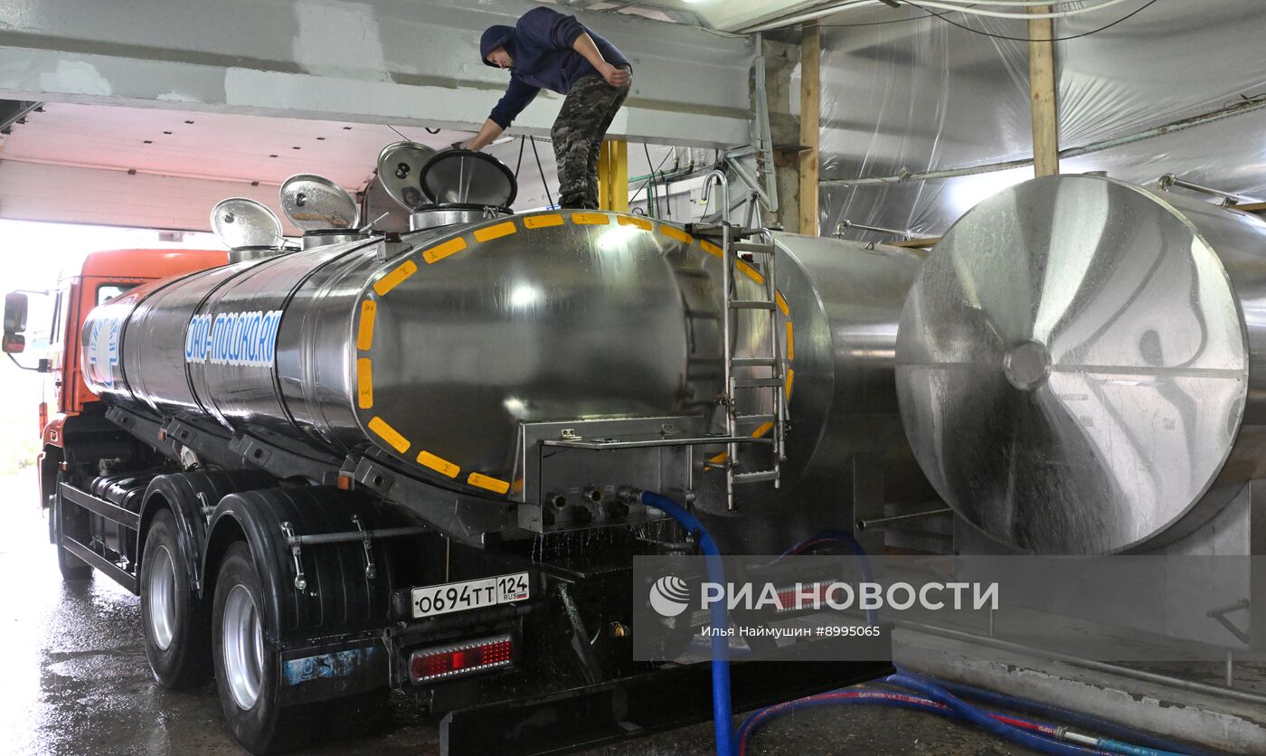 Производство кисломолочных продуктов в Красноярском крае