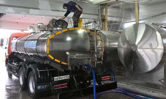 Производство кисломолочных продуктов в Красноярском крае