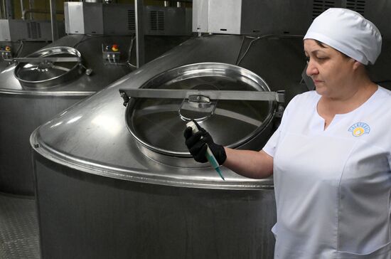 Производство кисломолочных продуктов в Красноярском крае