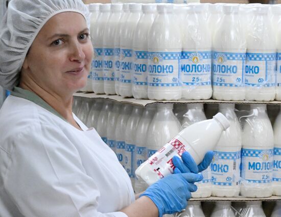 Производство кисломолочных продуктов в Красноярском крае