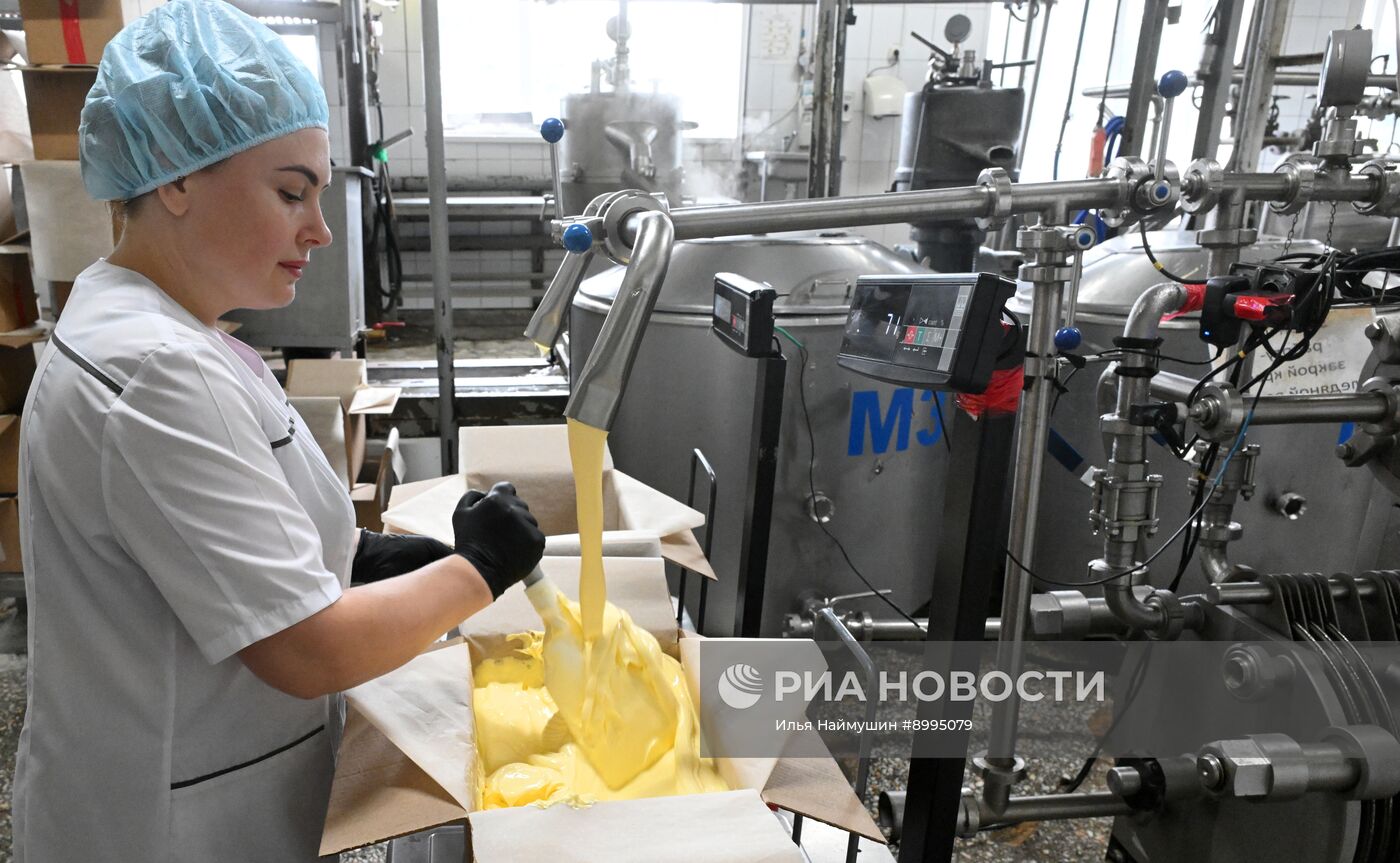 Производство кисломолочных продуктов в Красноярском крае