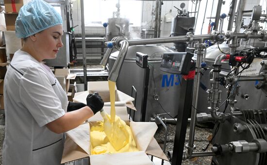 Производство кисломолочных продуктов в Красноярском крае