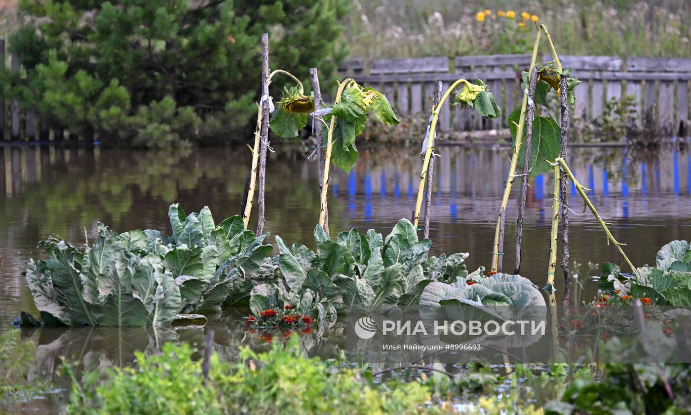 Последствия ливней в Красноярском крае