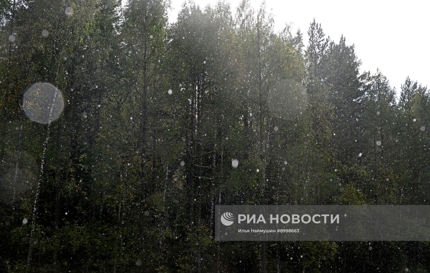 Осень в Сибири