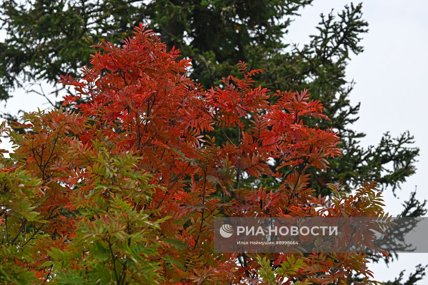 Осень в Сибири