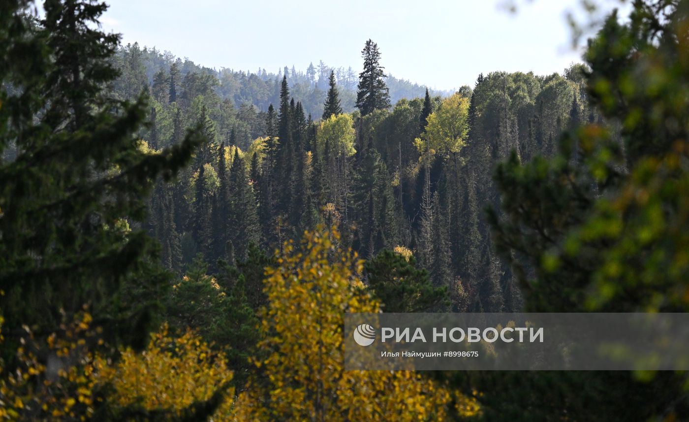Осень в Сибири