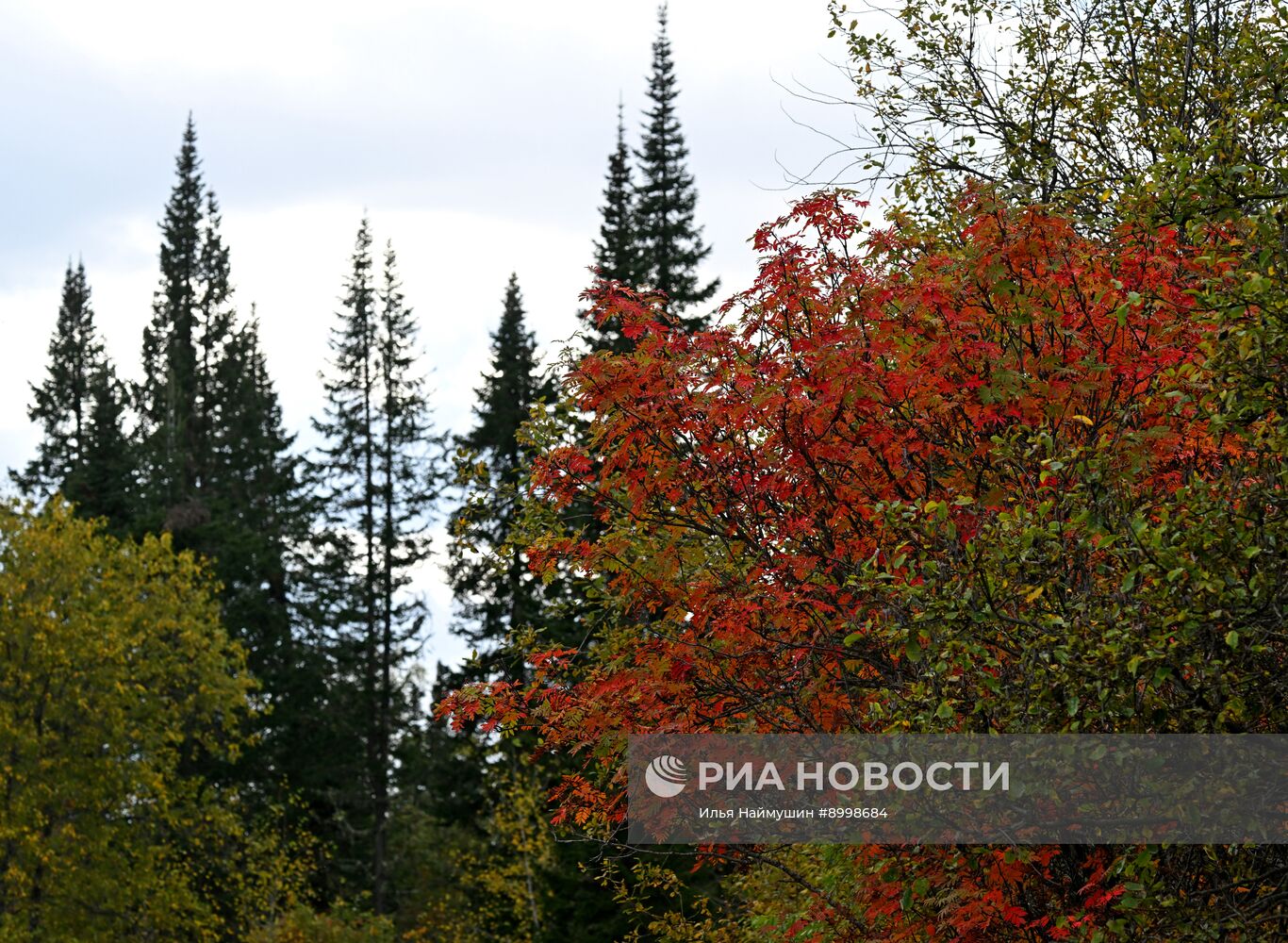 Осень в Сибири