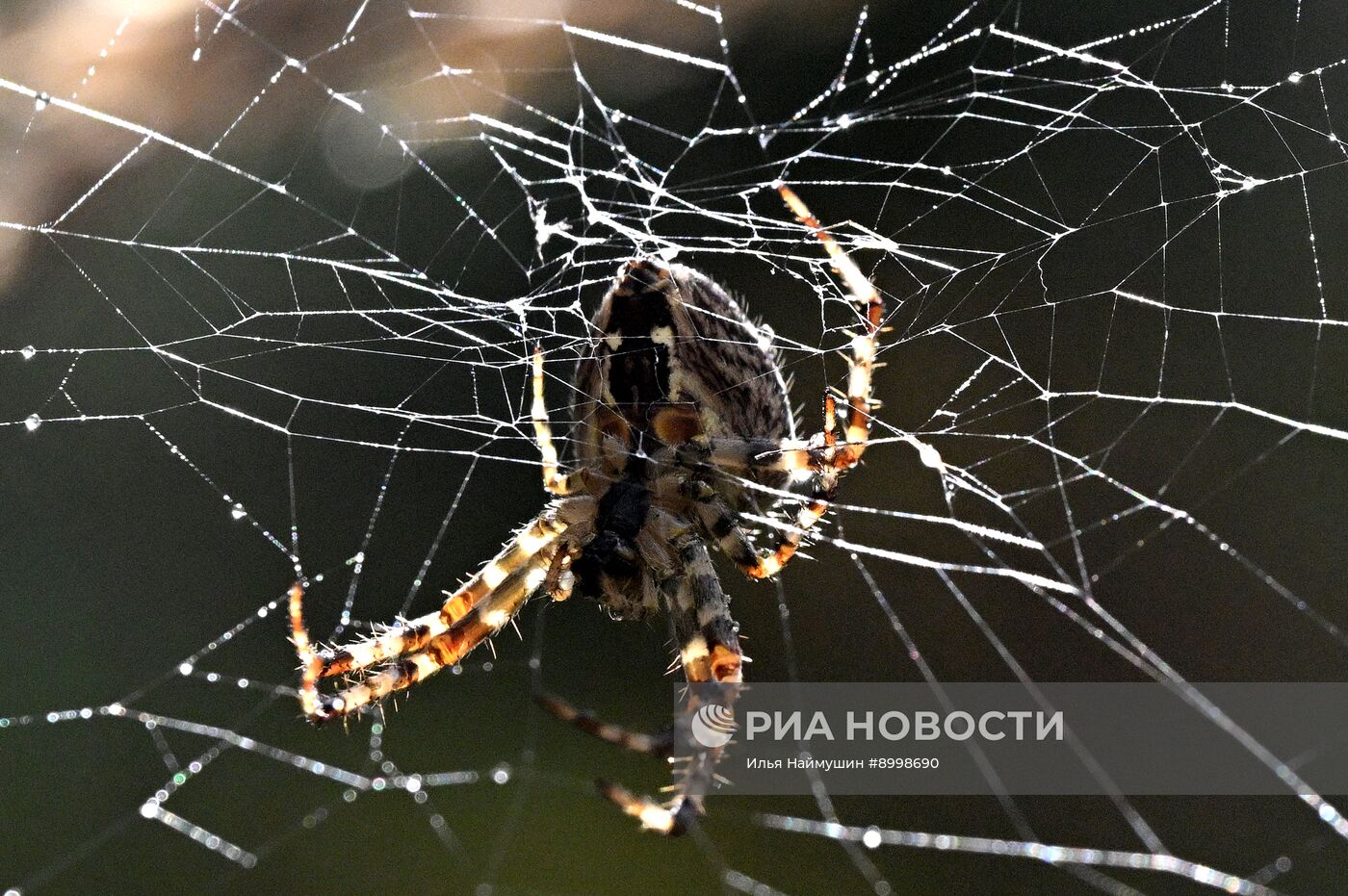 Осень в Сибири