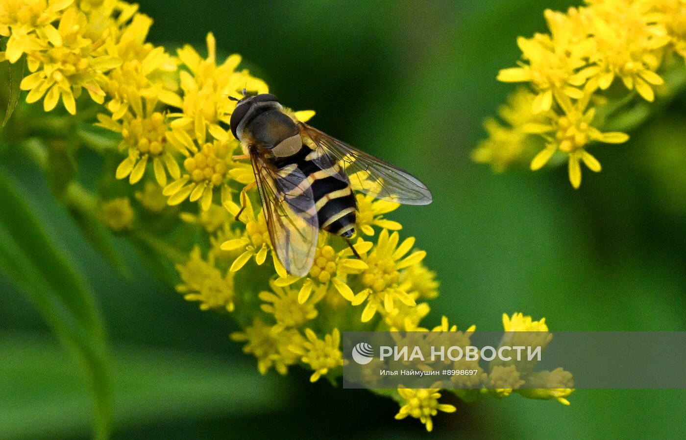 Осень в Сибири