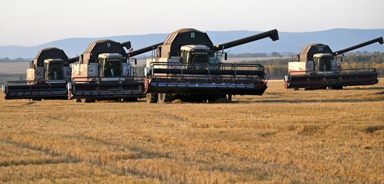 Сбор урожая ячменя в Красноярском крае 