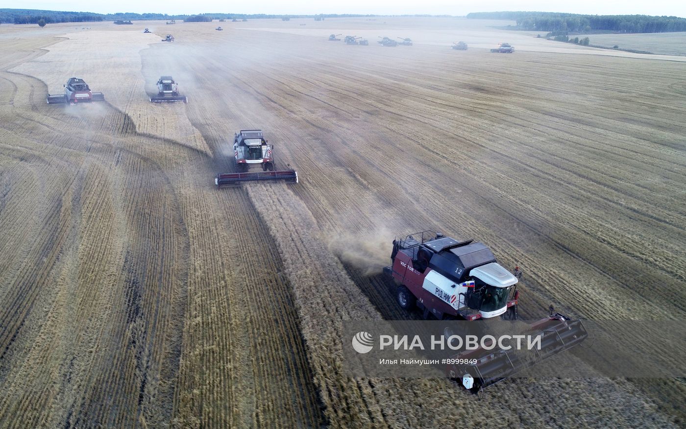 Сбор урожая ячменя в Красноярском крае