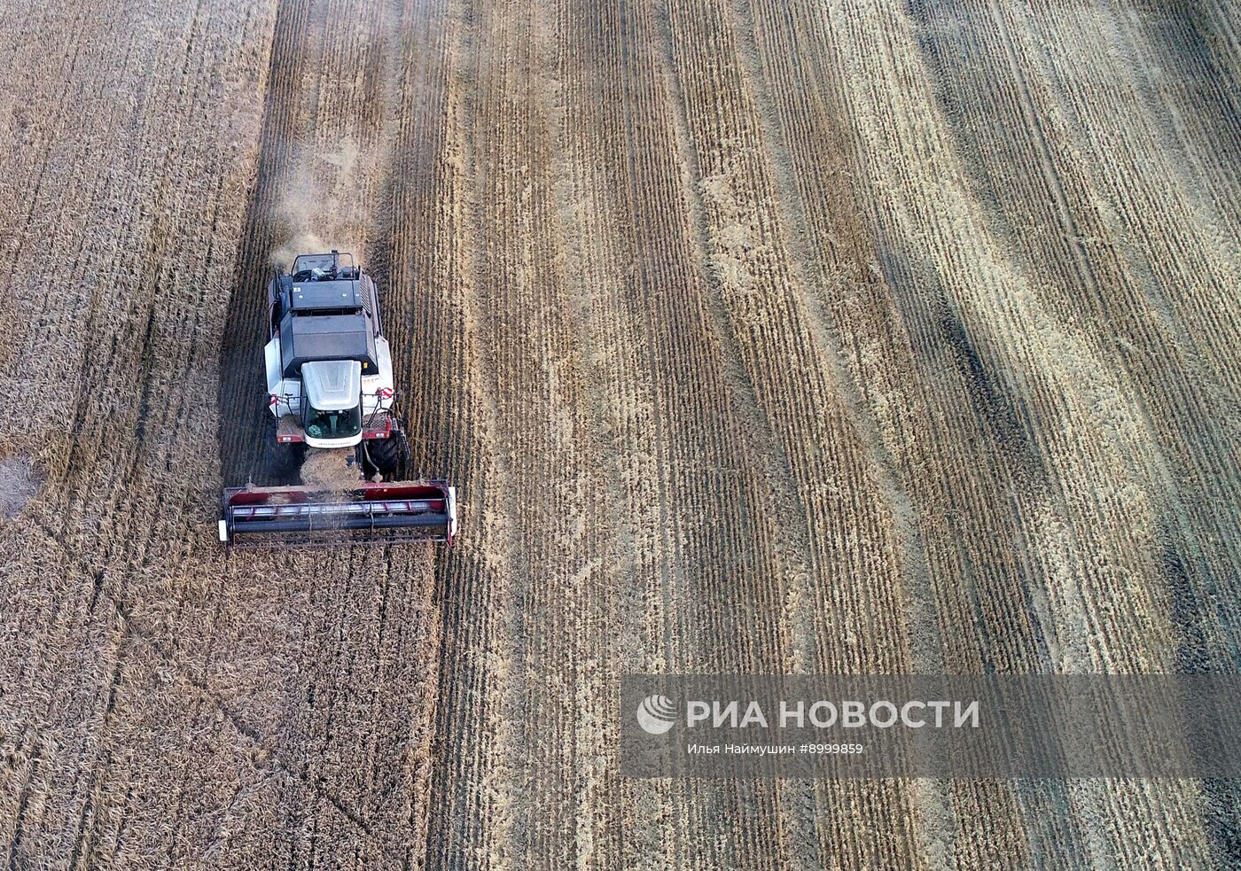 Сбор урожая ячменя в Красноярском крае