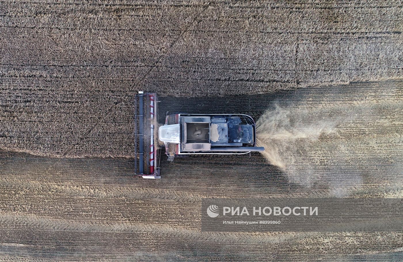 Сбор урожая ячменя в Красноярском крае 
