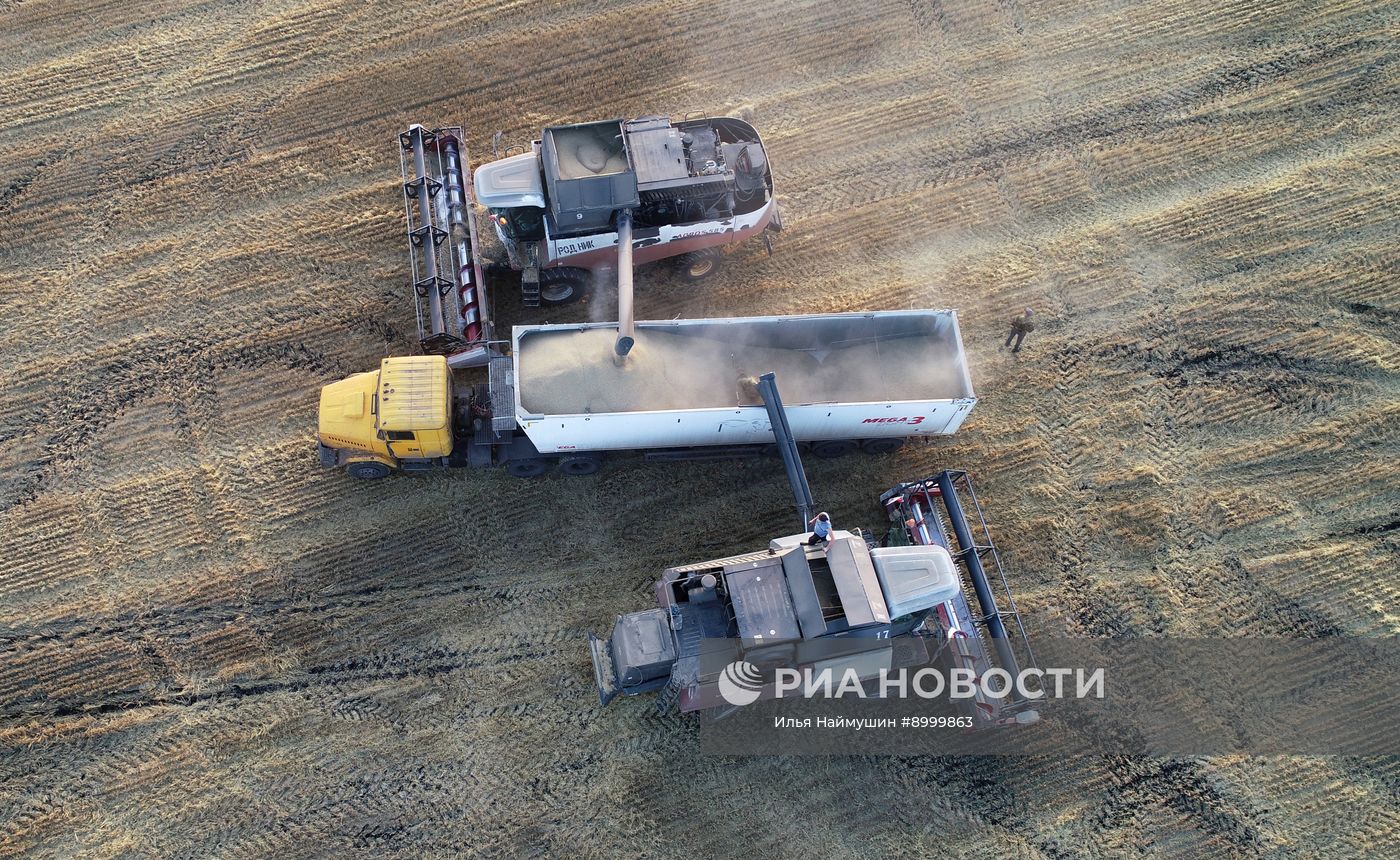 Сбор урожая ячменя в Красноярском крае 