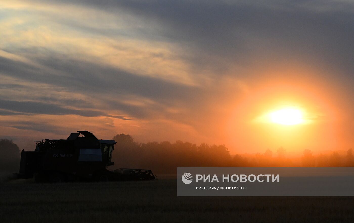 Сбор урожая ячменя в Красноярском крае