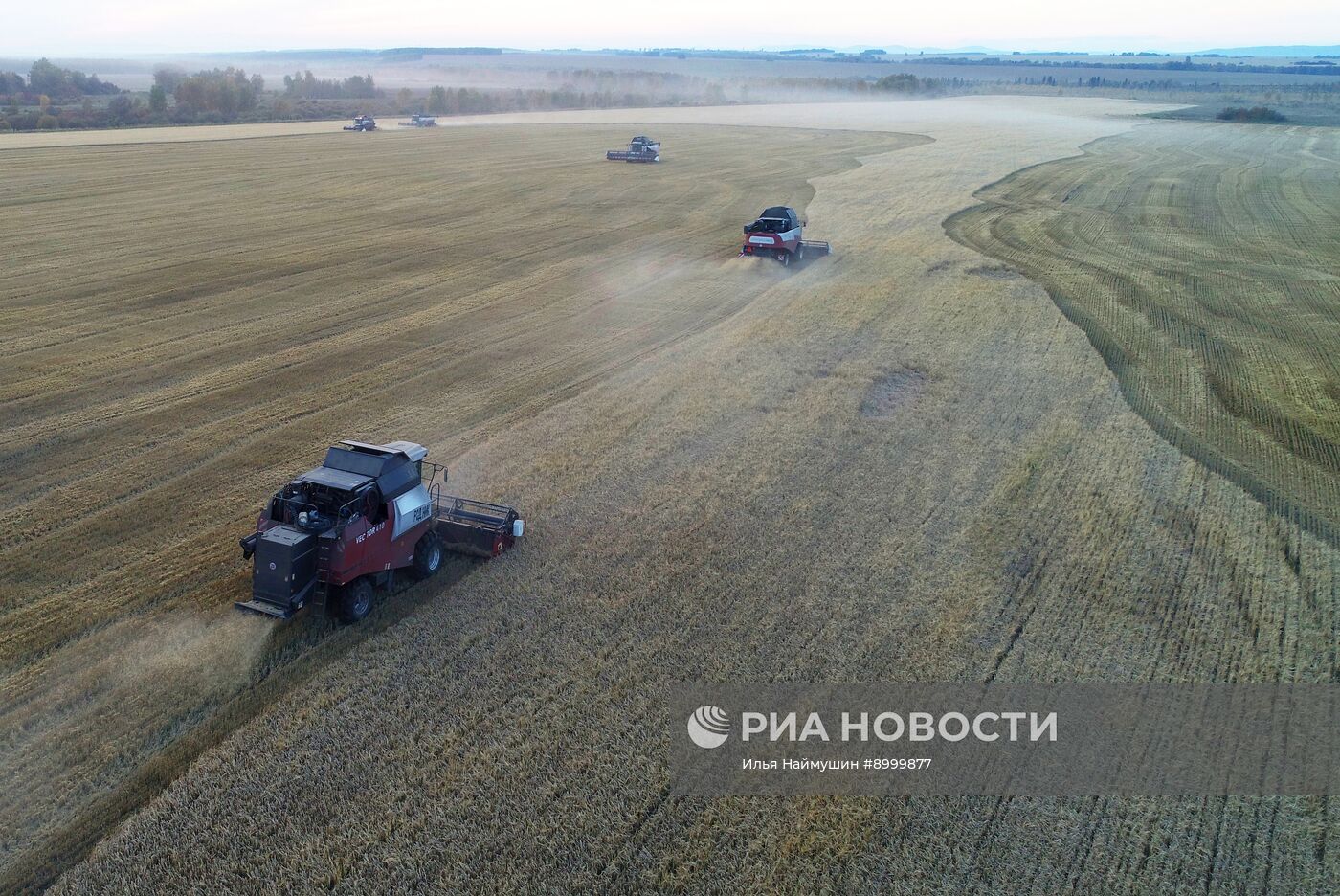 Сбор урожая ячменя в Красноярском крае