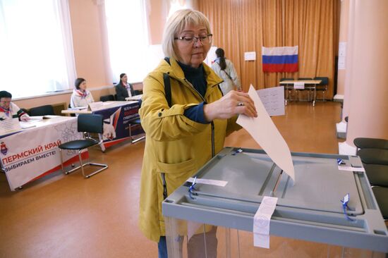 Выборы губернатора Пермского края