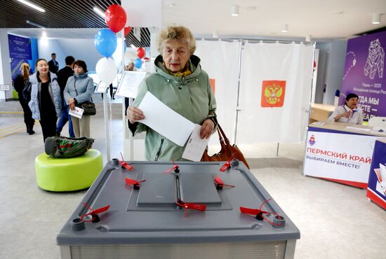 Выборы губернатора Пермского края