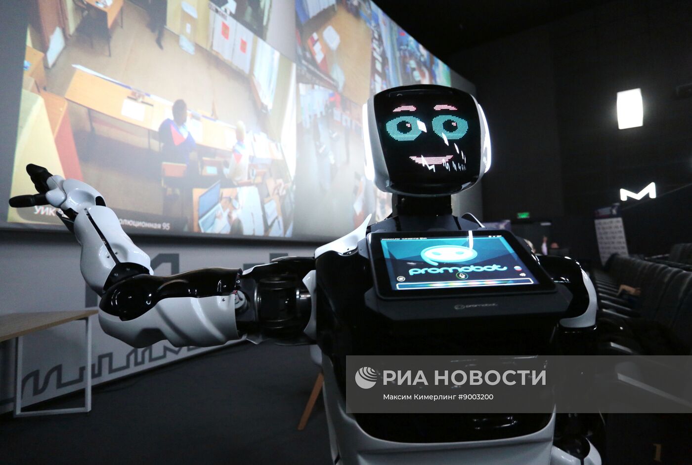 Выборы губернатора Пермского края