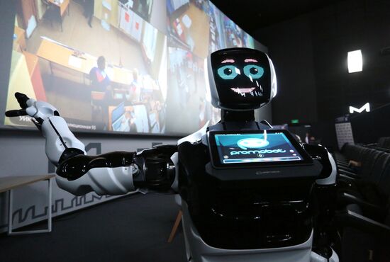 Выборы губернатора Пермского края