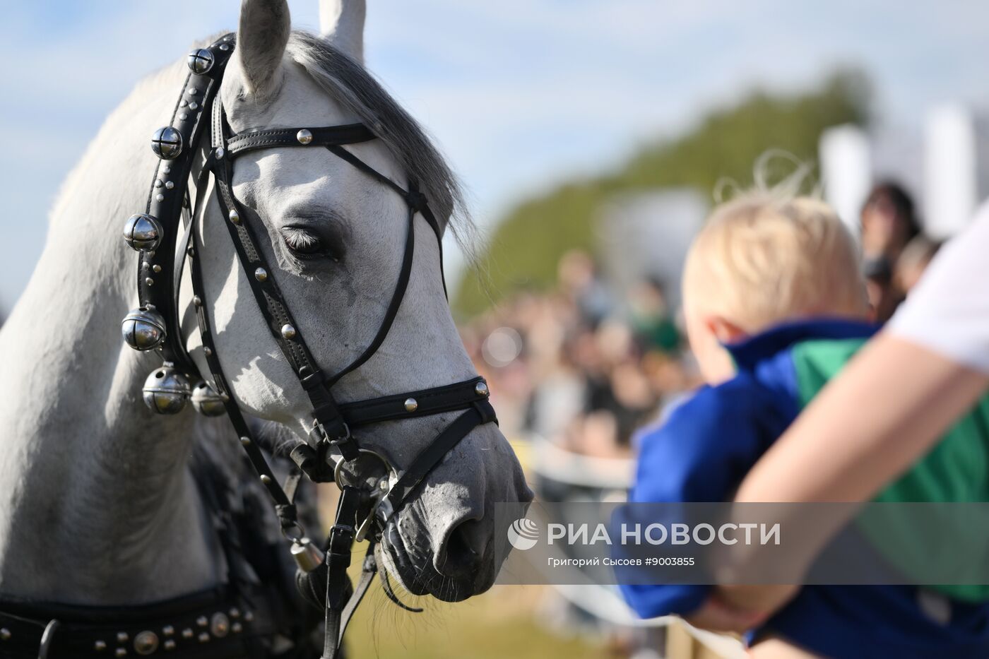 Конная шоу-программа "Русская тройка. Полёт сквозь века"
