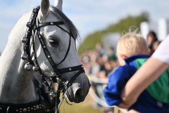 Конная шоу-программа "Русская тройка. Полёт сквозь века"