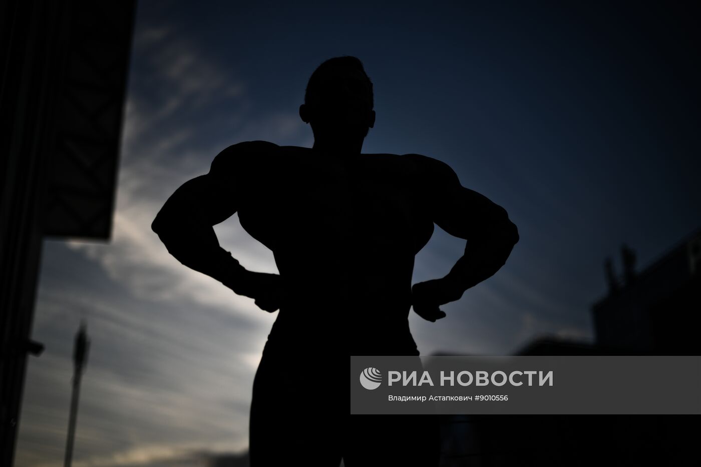 Чемпионат Москвы по бодибилдингу