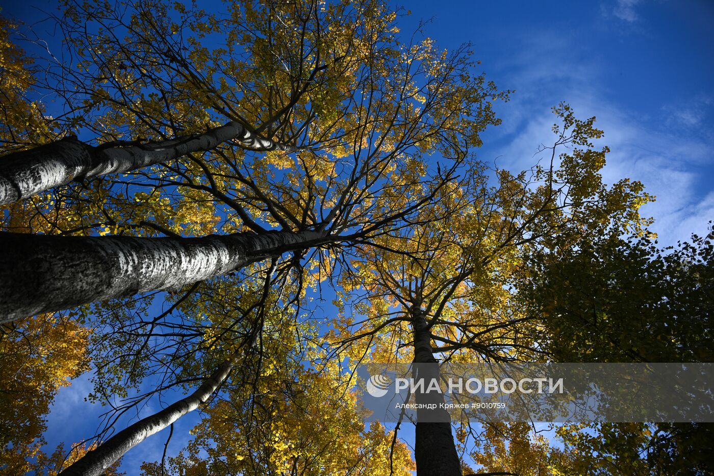 На Байкале ждут поправки в закон об охране озера