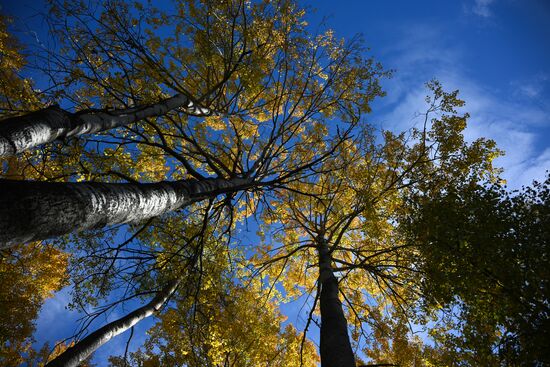 На Байкале ждут поправки в закон об охране озера