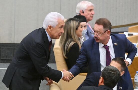 Пленарное заседание Госдумы РФ