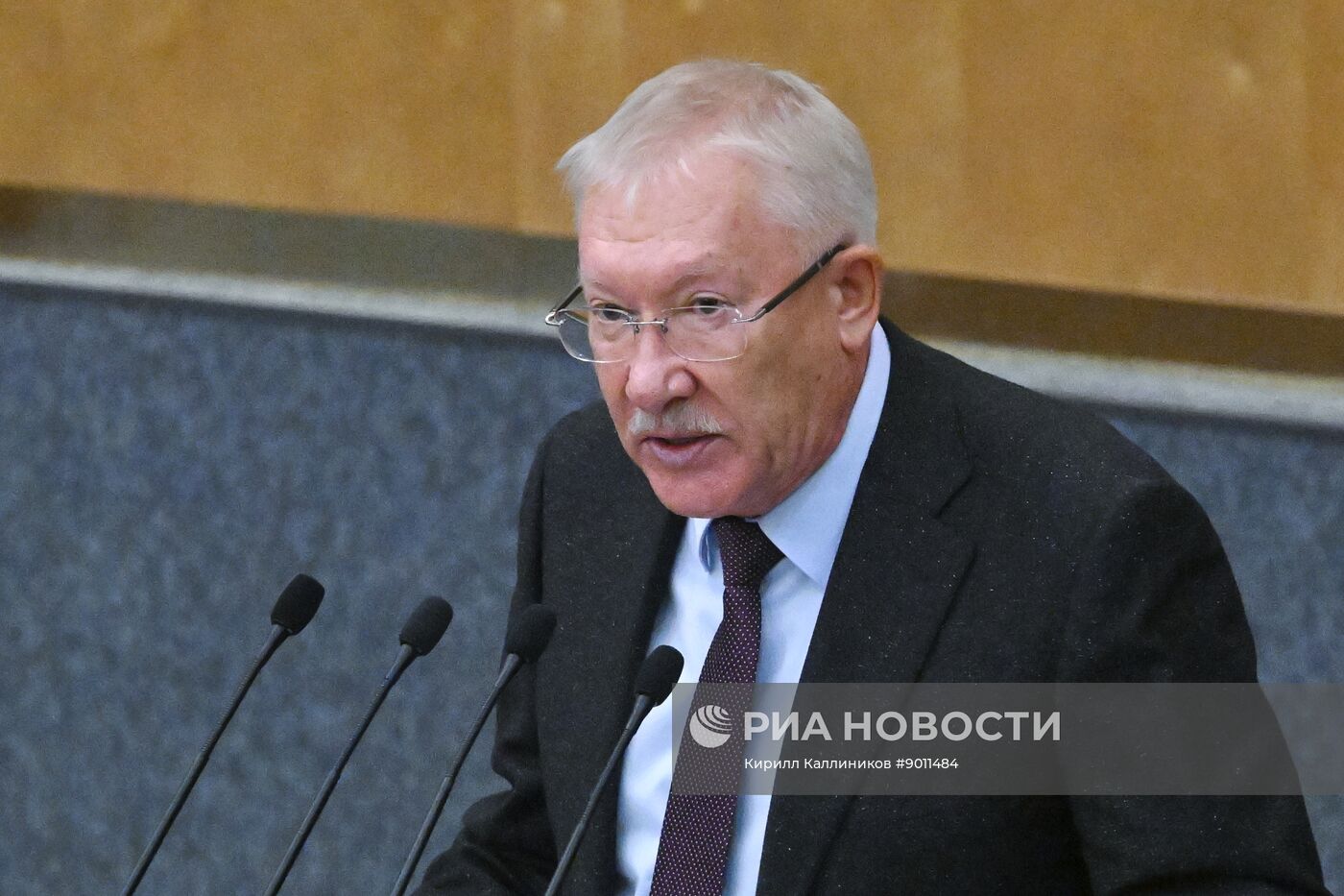 Пленарное заседание Госдумы РФ