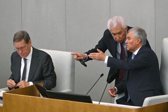 Пленарное заседание Госдумы РФ