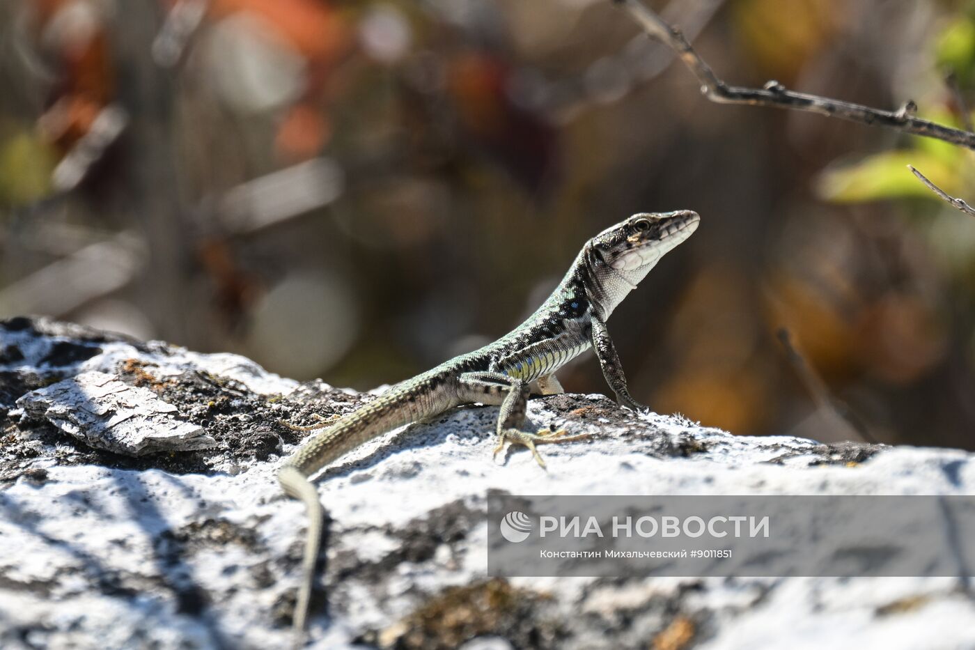 Пещерный город Эски-Кермен в Крыму