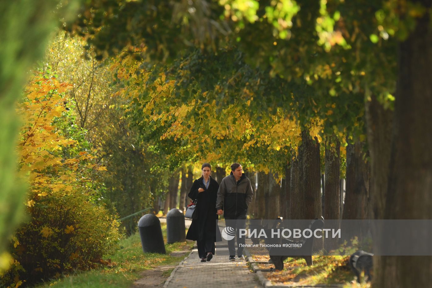 Города России. Плёс
