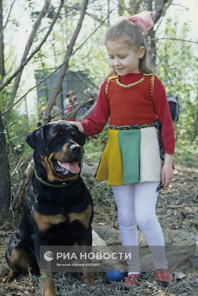 Ротвейлер по кличке Мурка