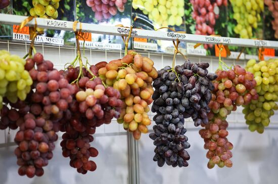 15-я агропромышленная выставка "Кубанская ярмарка"