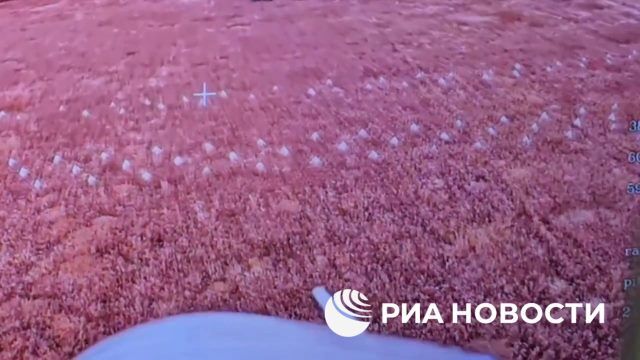 Многокилометровая линия обороны ВСУ вблизи Купянска