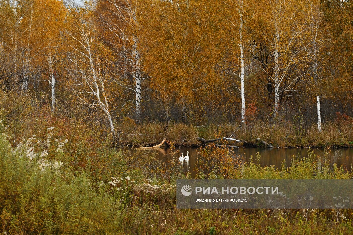 Осень в Алтайском крае