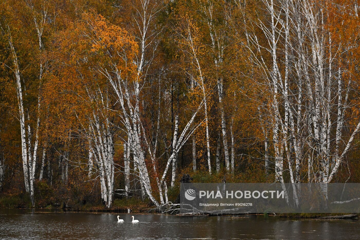 Осень в Алтайском крае